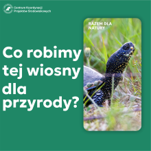 Co robimy wiosną dla przyrody?