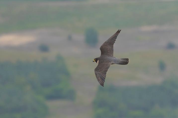 Fot&#x2e;&#x20;Grzegorz&#x20;Sierocki